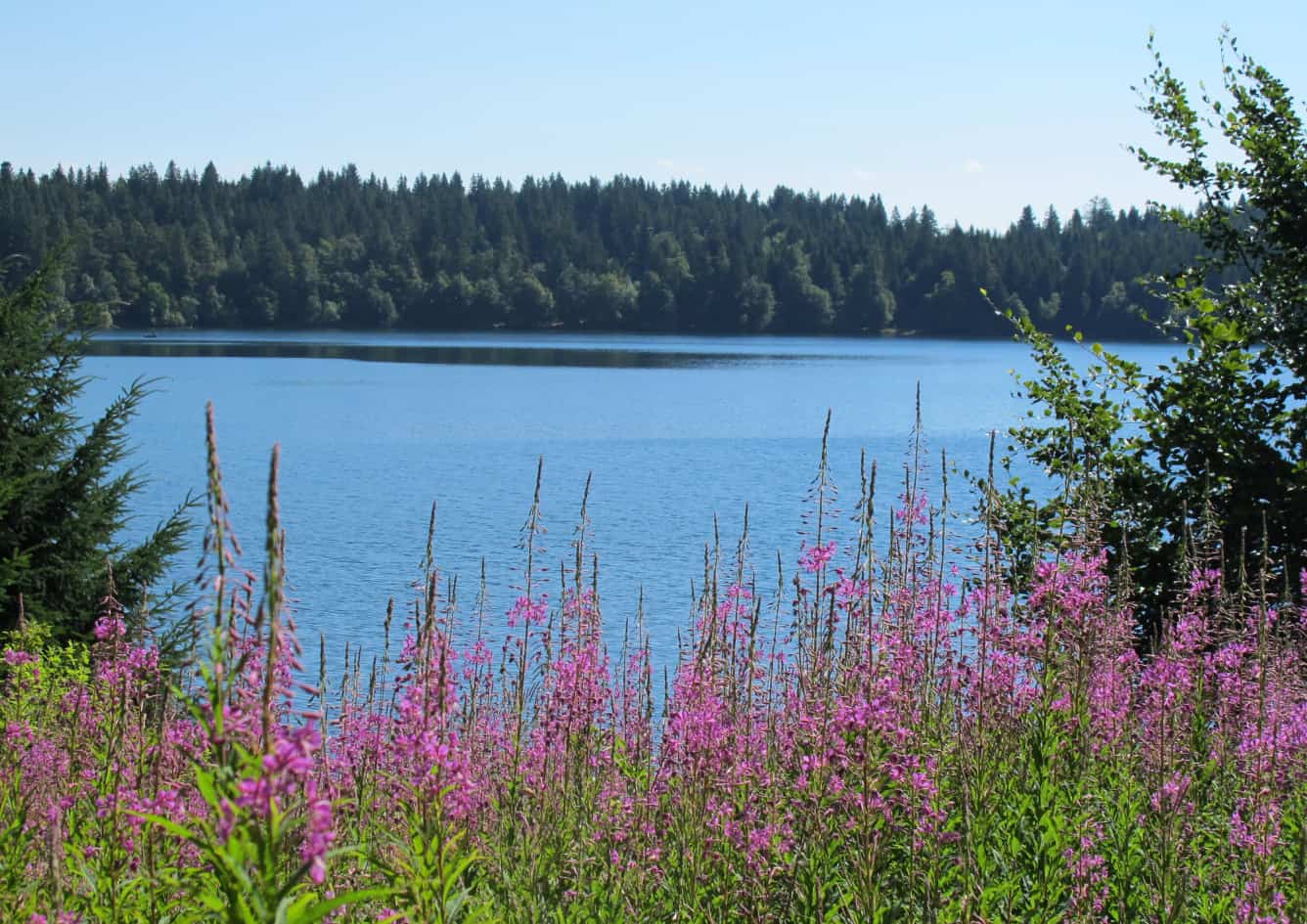 Lac du Bouchet