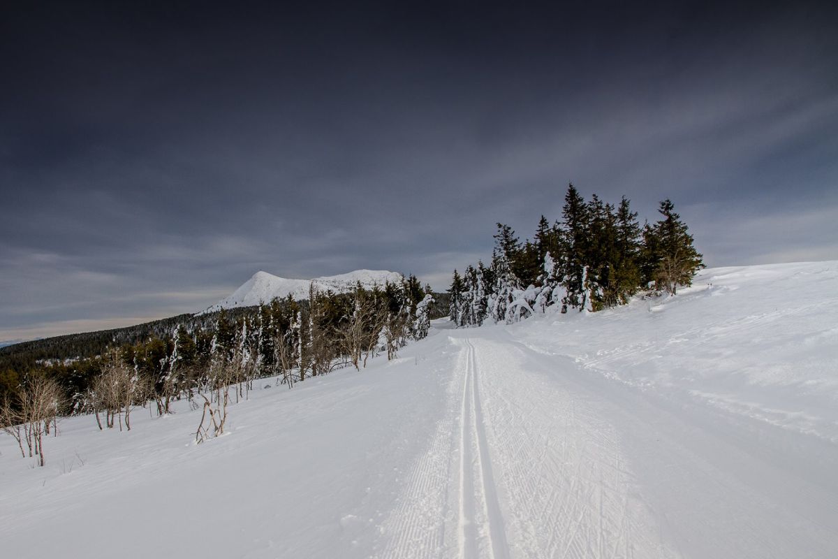 P. VIllemejane Les pistes de ski de fond au pied du Mont Mézenc