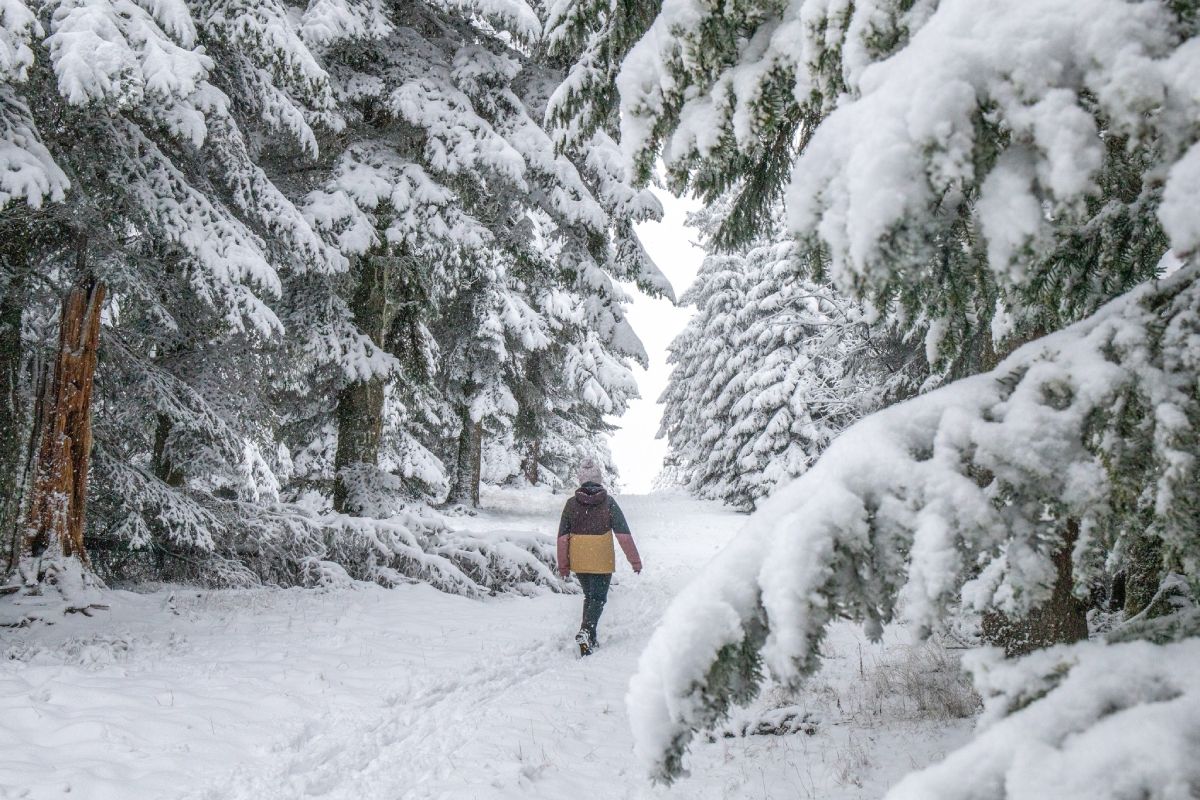 P. Villemejane Raquettes en Auvergne dans la neige