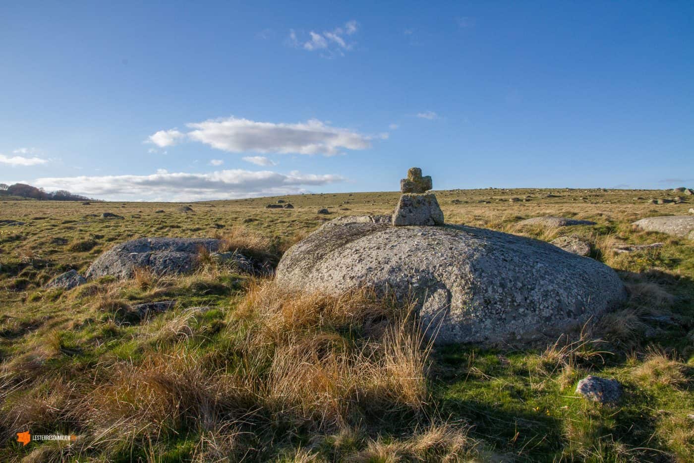 Croix sculptée sur un bloc de granit dans l'Aubrac