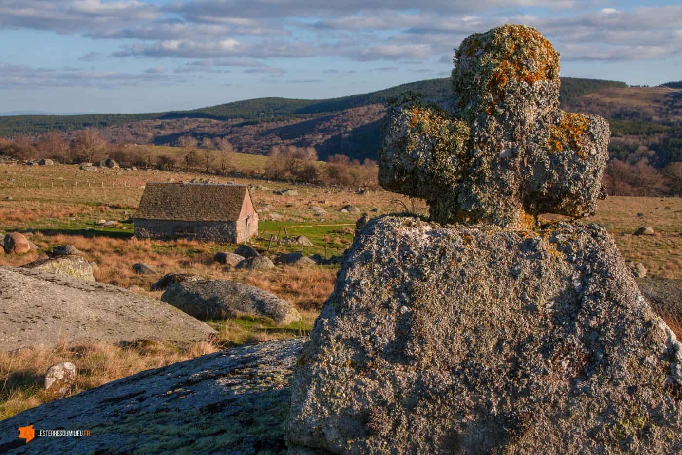 Croix sculptée et buron de la blatte dans l'Aubrac