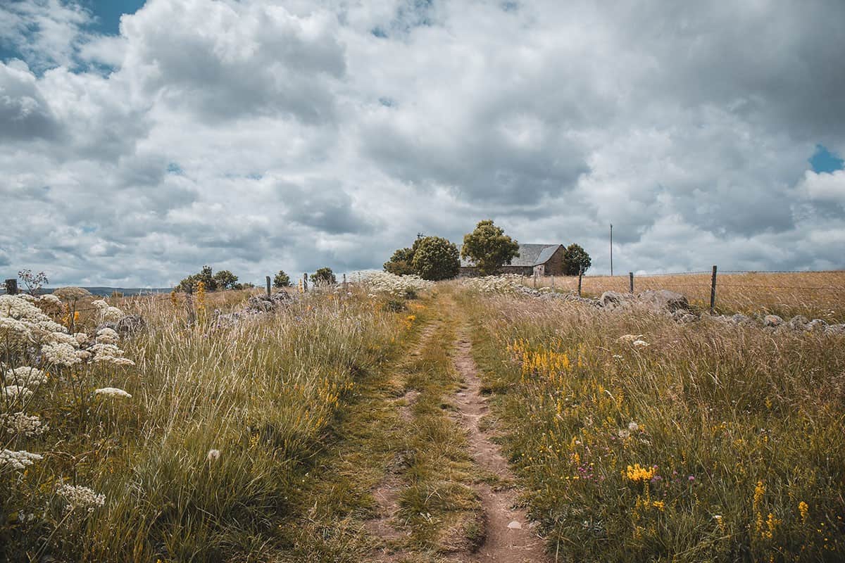 Sentier fleuri au coeur de l'Aubrac