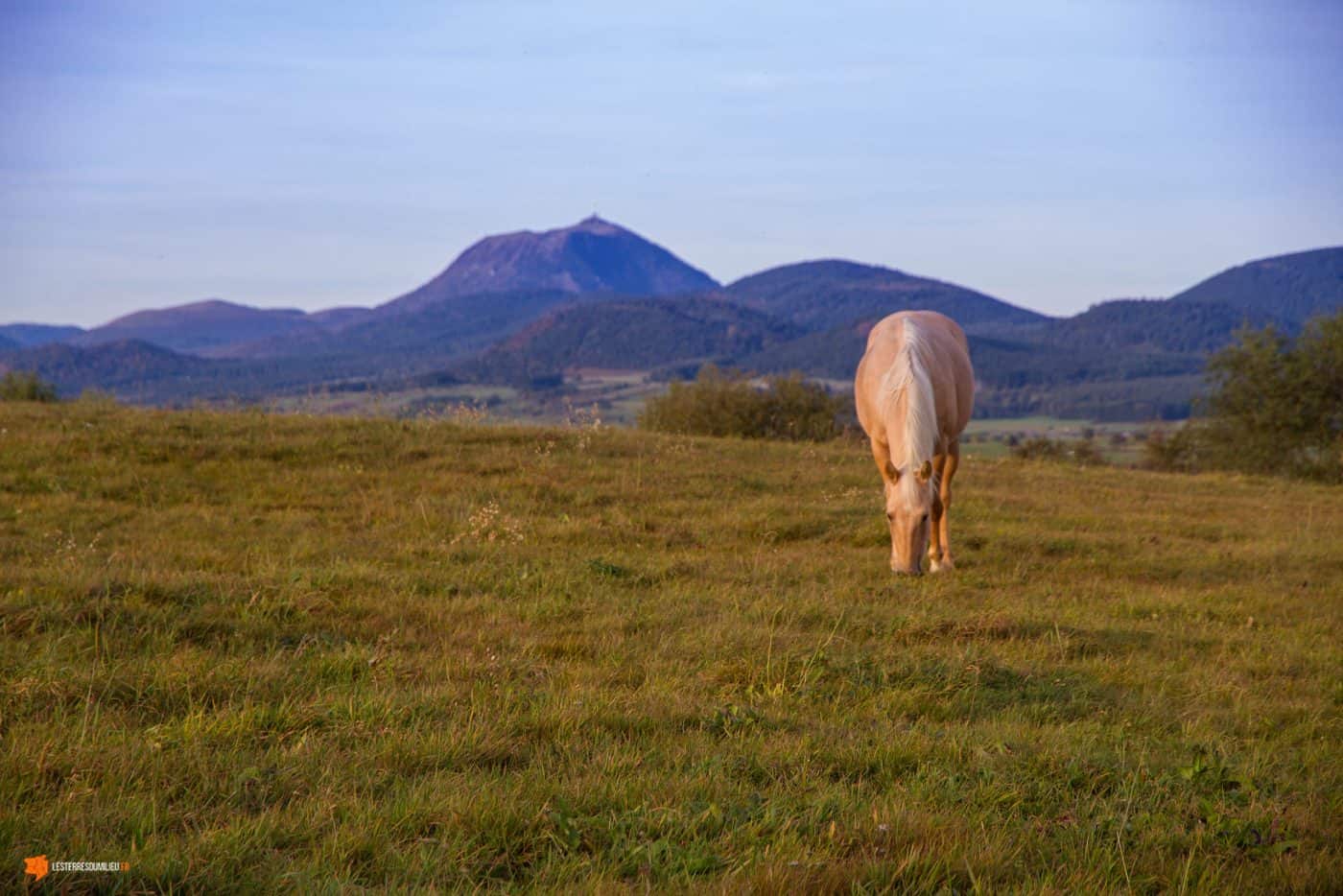 La Chaîne des Puys et le Puy-de-Dôme derrière un cheval