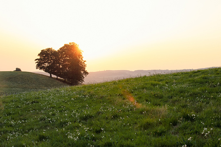 Coucher de soleil dans le Cézallier près d'Égliseneuve-d'Entraigues