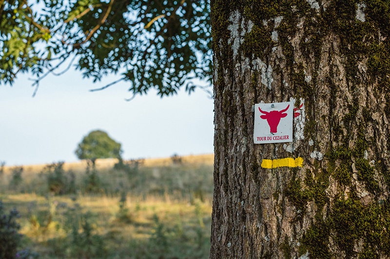 Panneau du GRP Tour du Cézallier