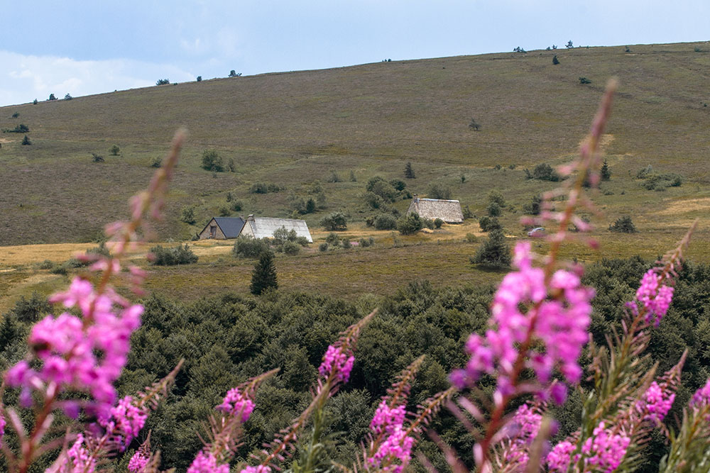 © P. Villemejane, Les Terres du milieu Les jasseries près de la Croix du Fossat dans le Forez