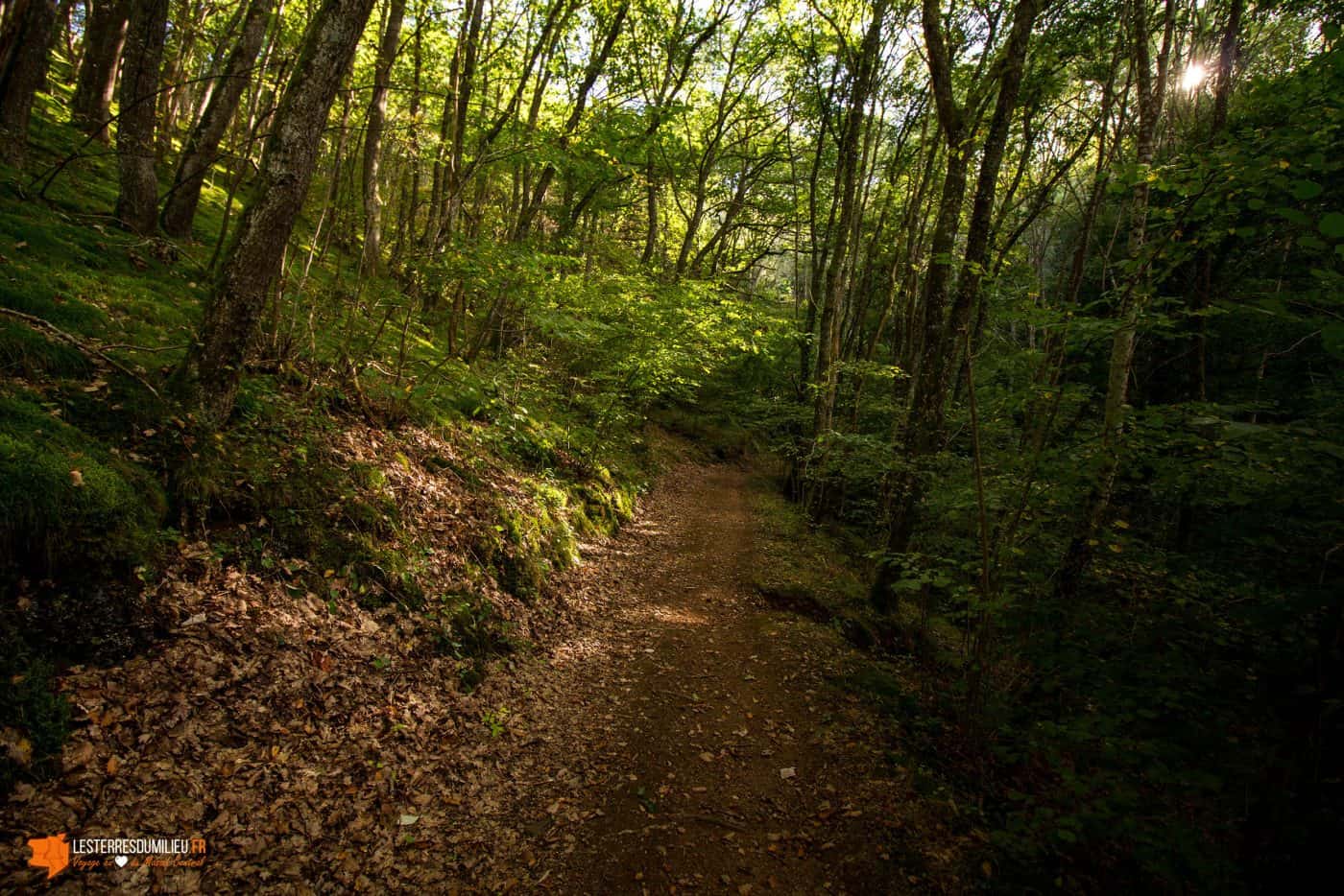 Chemin dans les gorges d'Enval