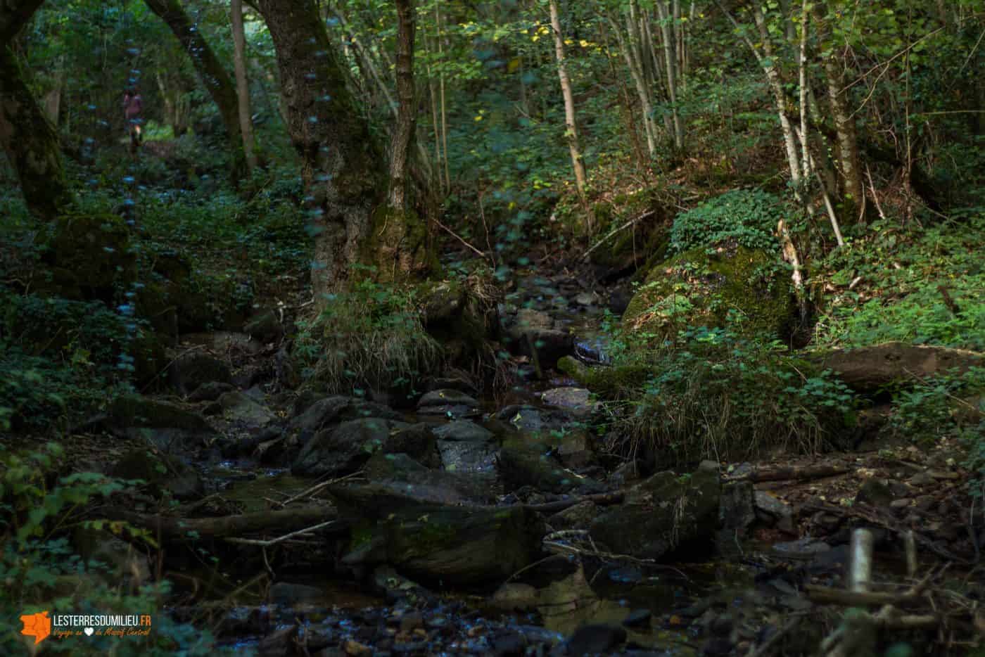 Ambiance au coeur des gorges d'Enval