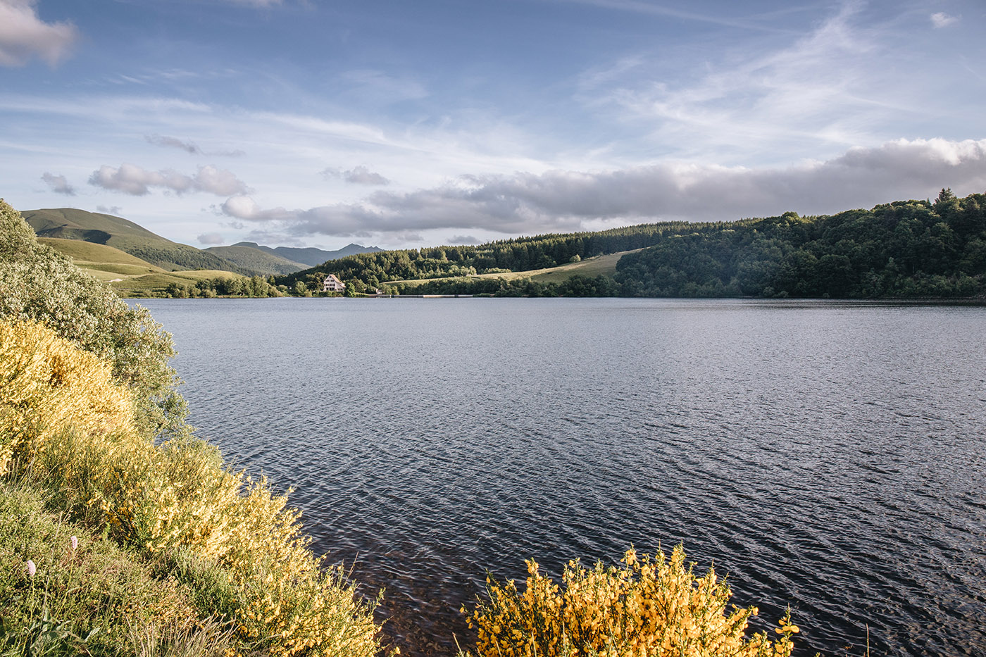 Le lac du Guéry en fleurs