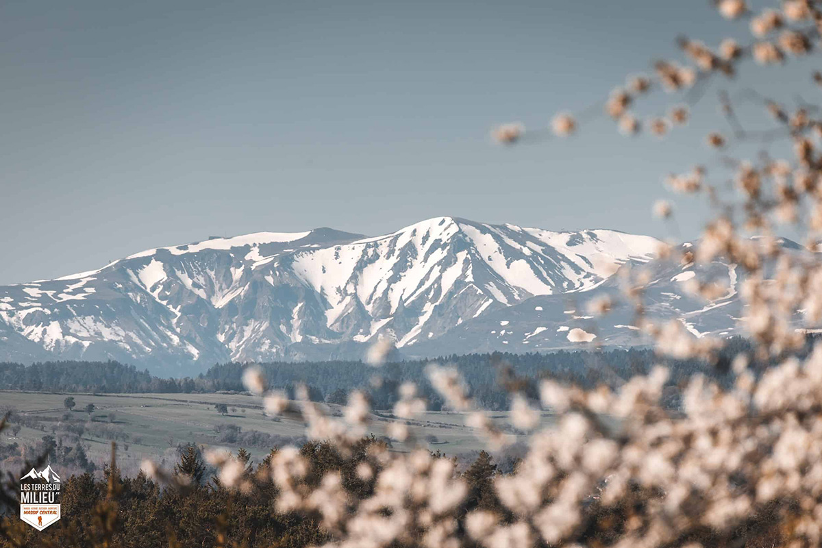 Le massif du Sancy enneigé vu depuis La Cassière sur le GR30