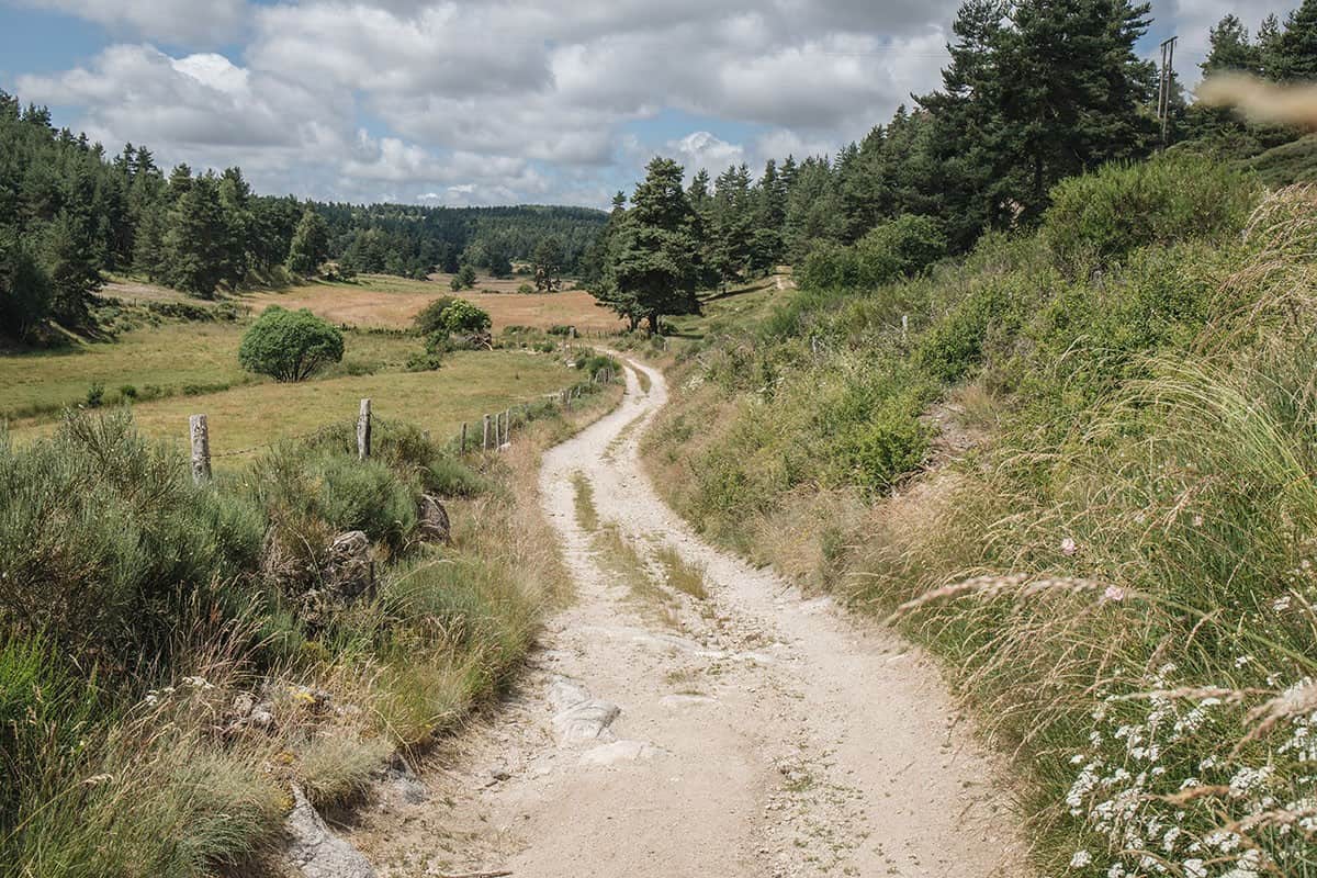 Chemin sur l'Aubrac