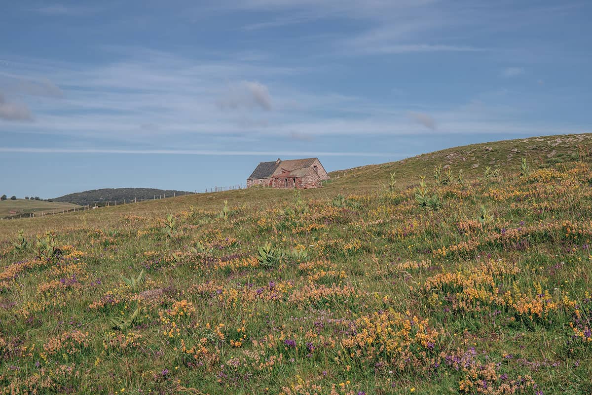 buron Aubrac