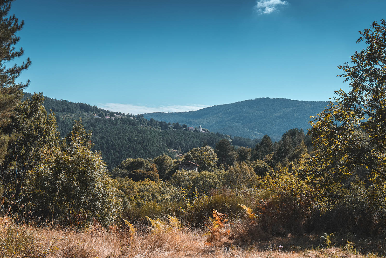 Paysages dans les Cévennes gardoises