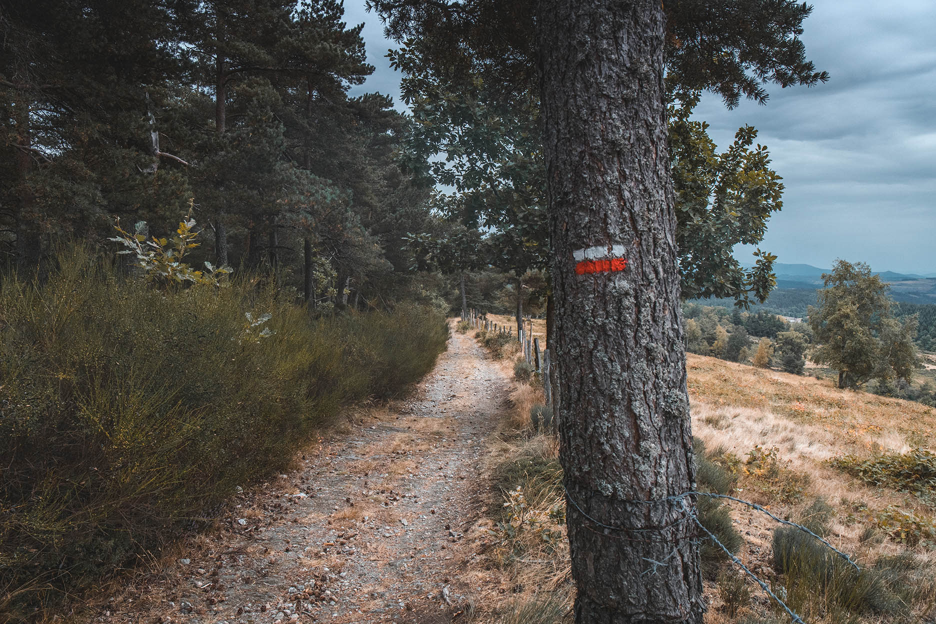 Sentier GR700 en Lozère