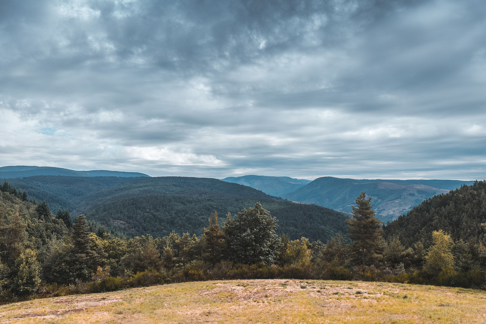 Panorama sur les Cévennes depuis les environs de La Bastide