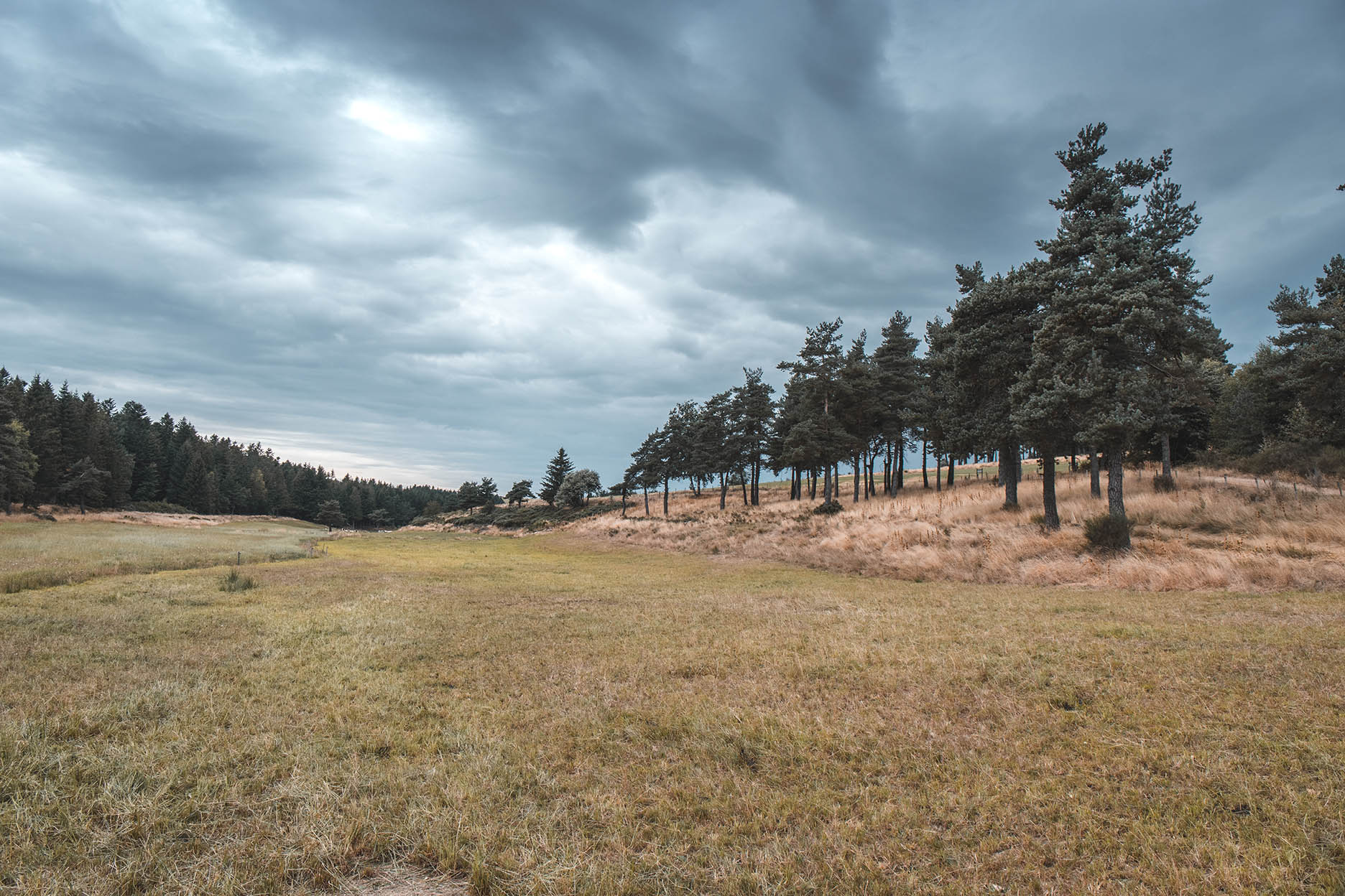 Paysages près de Luc en Lozère