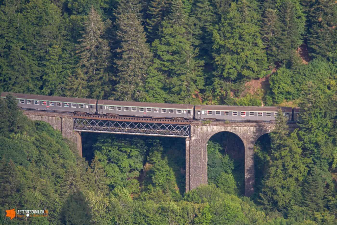 Train dans la vallée de la Cère, photographié depuis le puy Griou