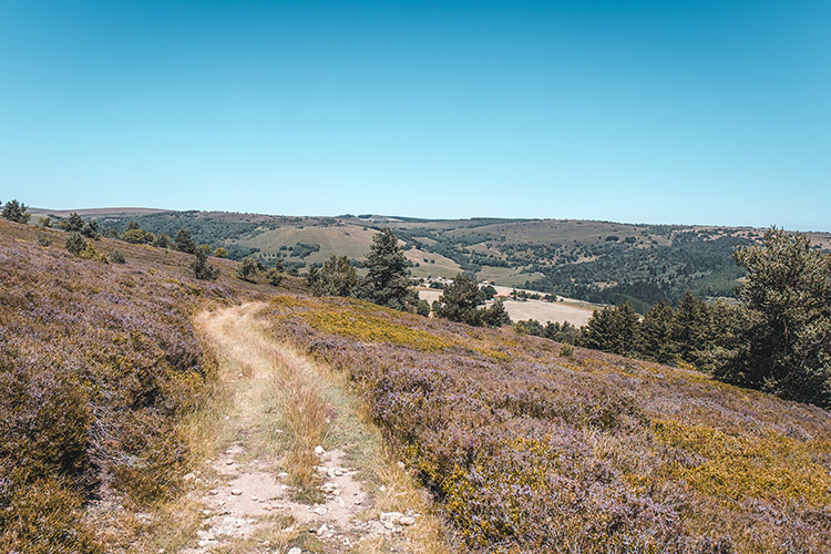 Sentier entre Prabouré et la jasserie du Coq Noir