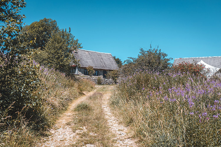 Jasserie près du Coq Noir et du col des Supeyres