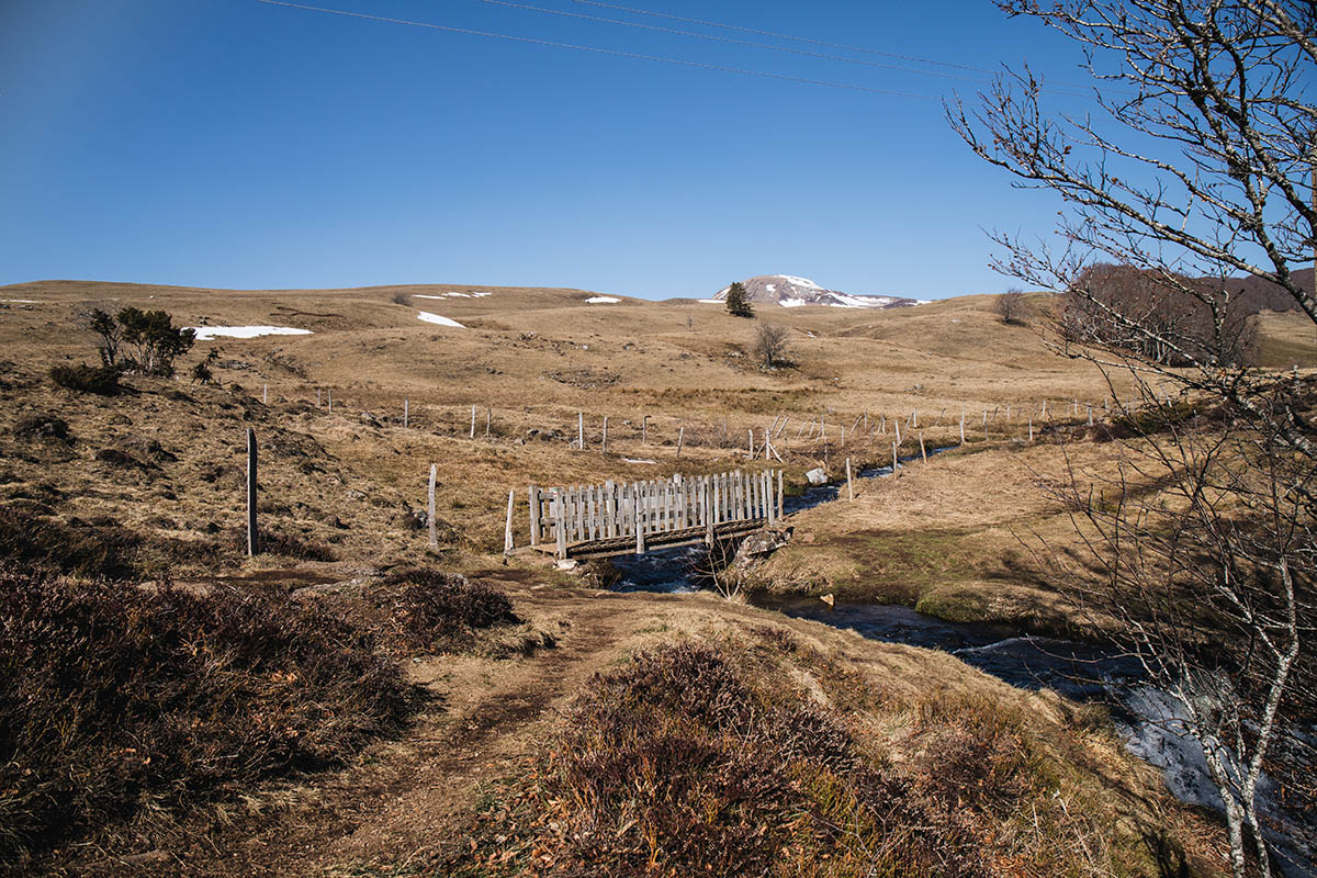 Près de la cascade de la Barthe dans le Sancy