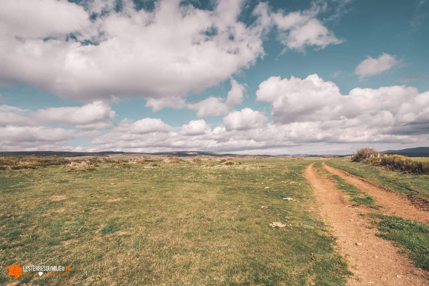 Sentier vers les Bondons en Lozère