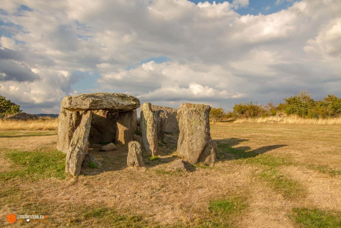 Le menhir de Cournols en Auvergne