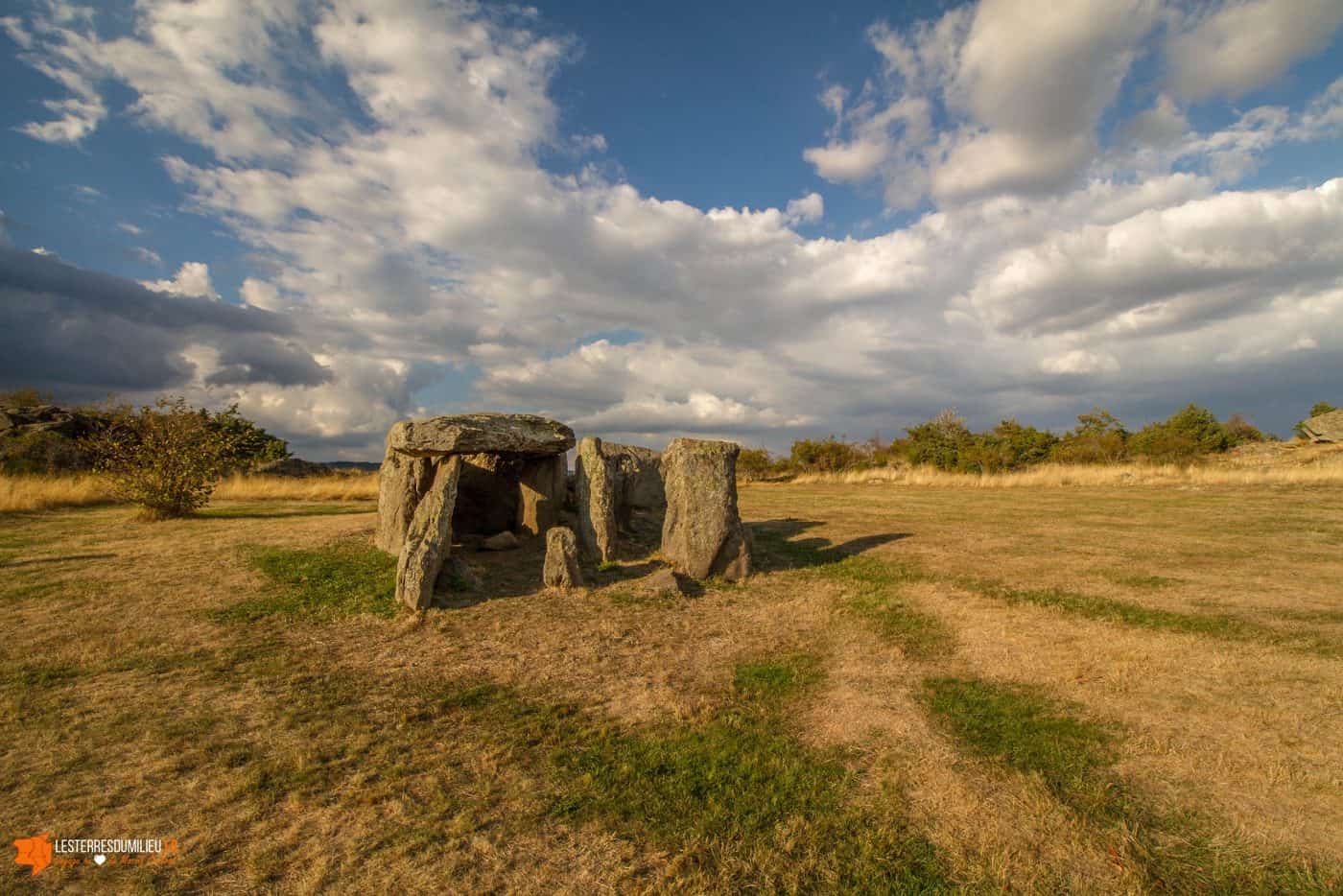 Menhir de Cournols en Auvergne