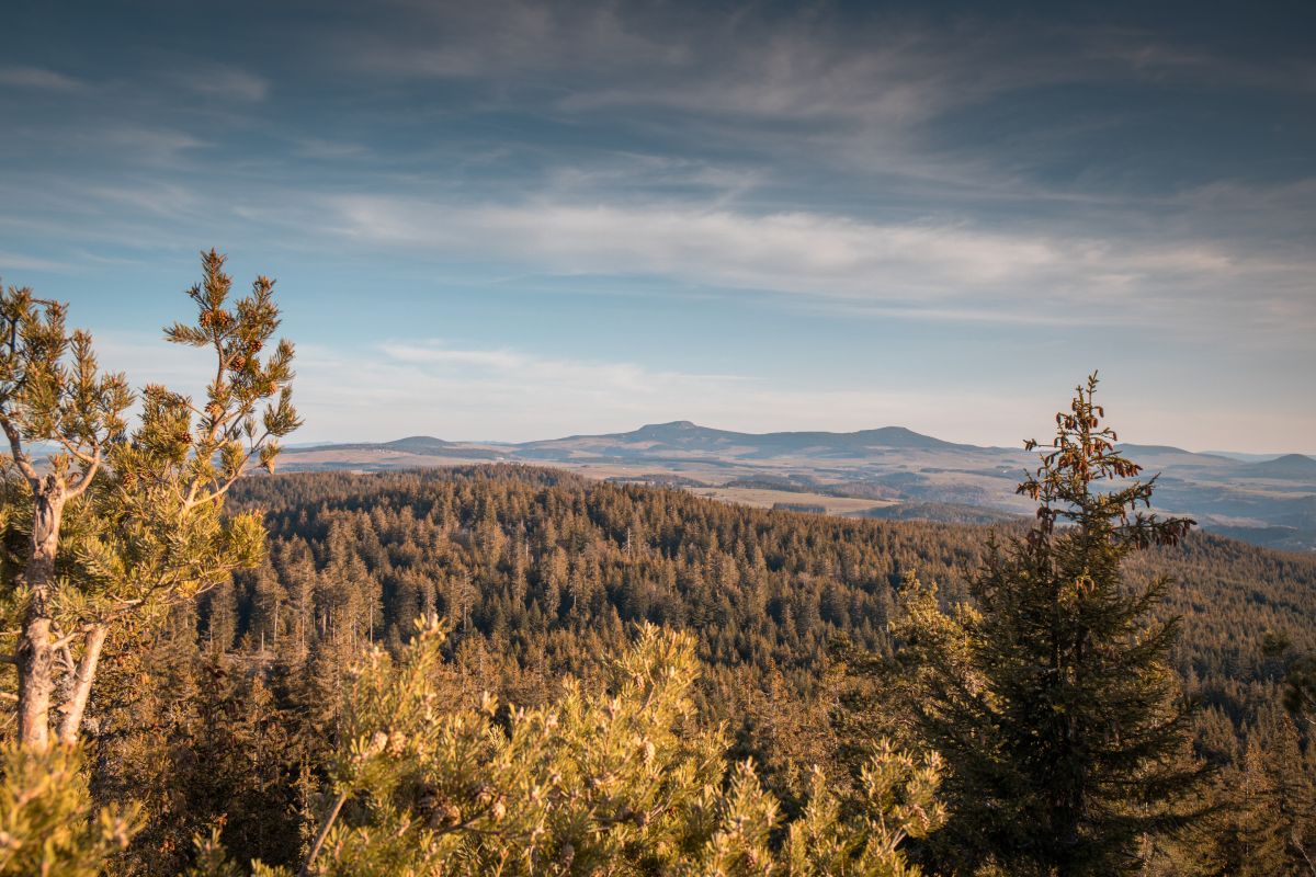 Panorama depuis le sommet du Testavoyre sur le Mézenc