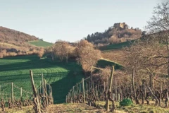 Autour du château de Busséol