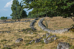 Autour d'Égliseneuve-d'Entraigues