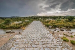 Pont du Tarn depuis Masméjean