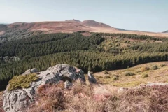 Autour du Puy de Baladou