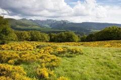 Le puy Gros