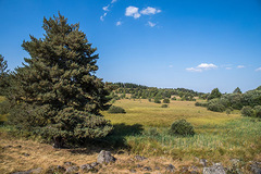 Tourbières de Lapsou