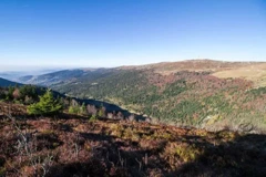 La Vallée du Fossat, randonnée dans le Forez