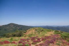 De Vimbouches au rocher de l'Angrisio