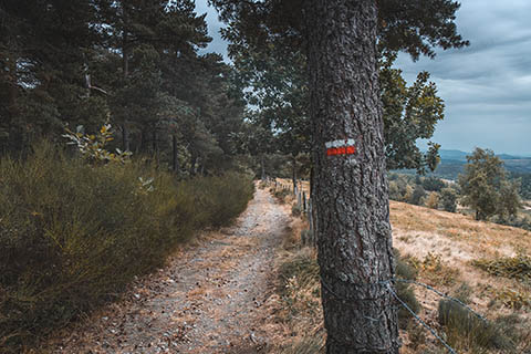 GR700 - 4 - De Luc à La Bastide-Puylaurent