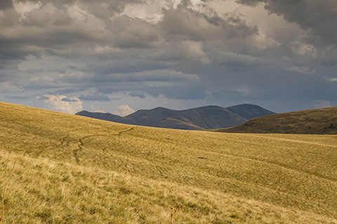 Plateau du Guéry