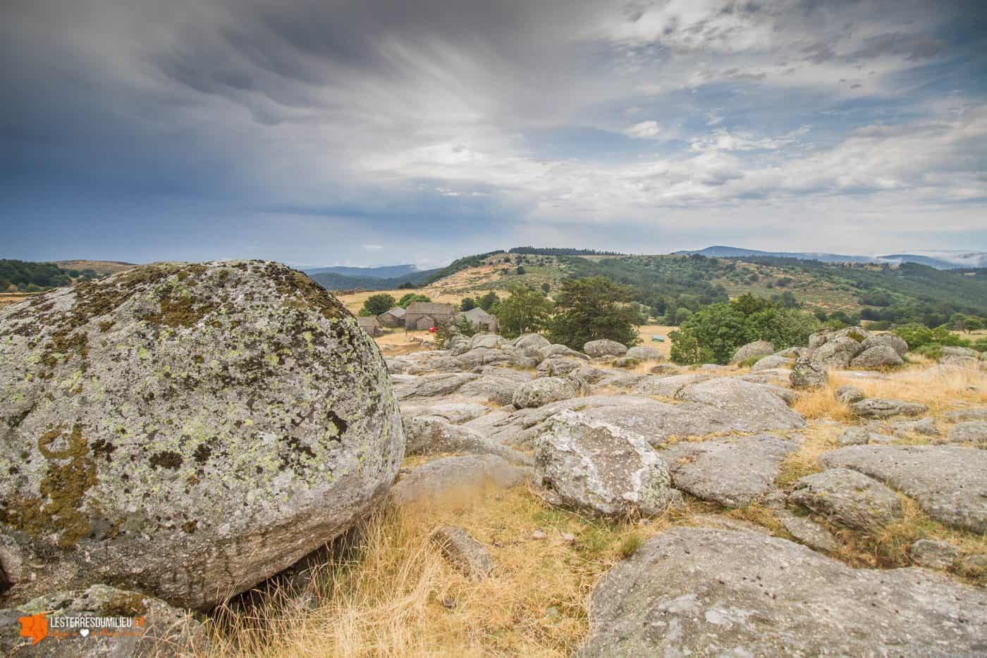 Blocs de granit caractéristiques sur le Mont Lozère