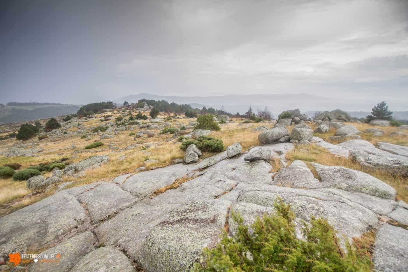 Sur le Mont Lozère, près de Masméjean