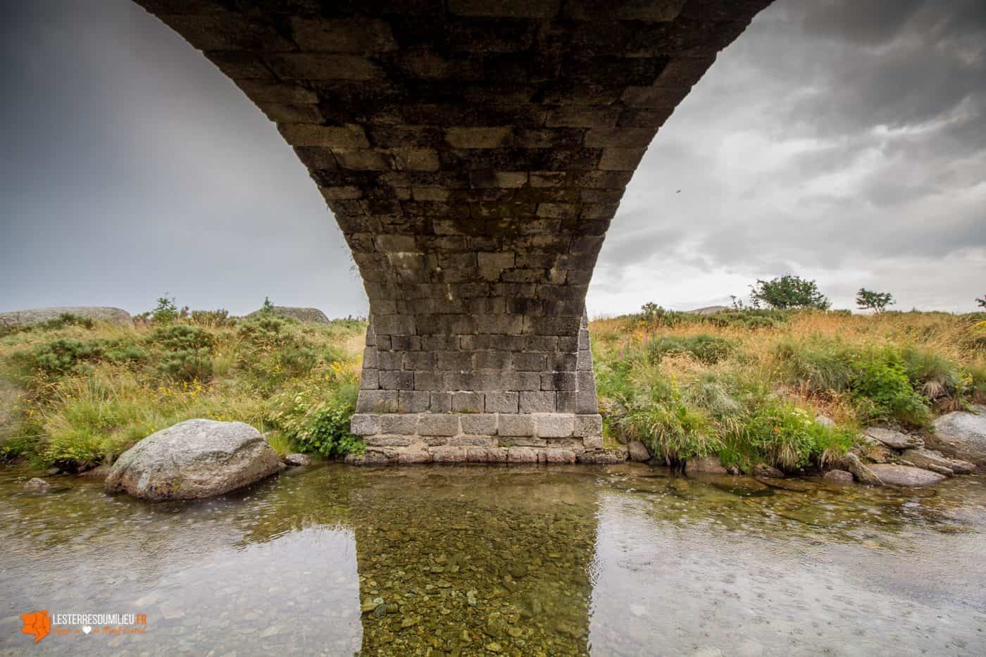 Sous le pont du Tarn en Lozère