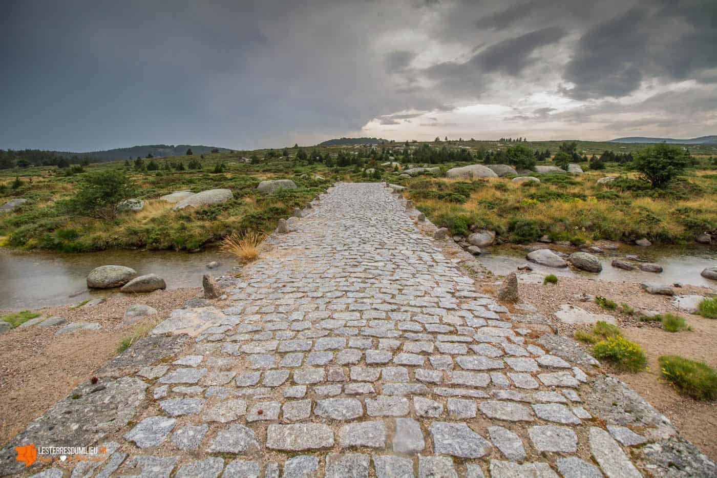 Le célèbre pont pavé et médiéval du Tarn en Lozère