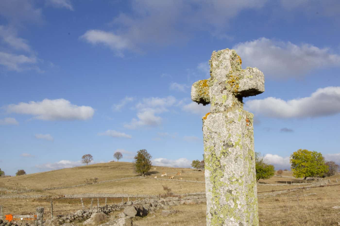 Croix sur le plateau de l'Aubrac