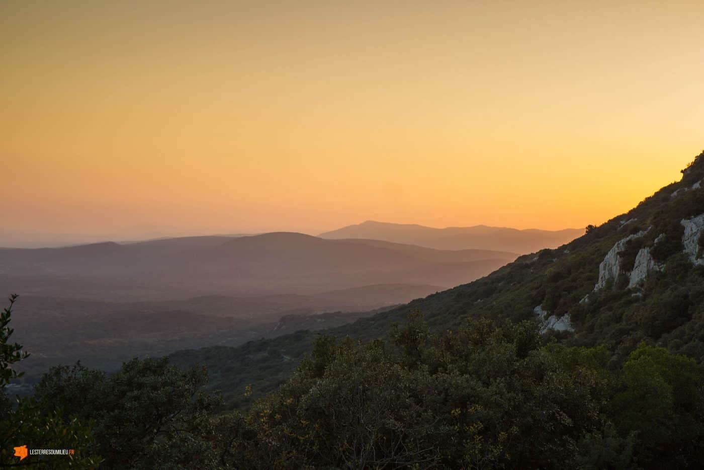 Coucher de soleil sur les pentes du pic Saint-Loup