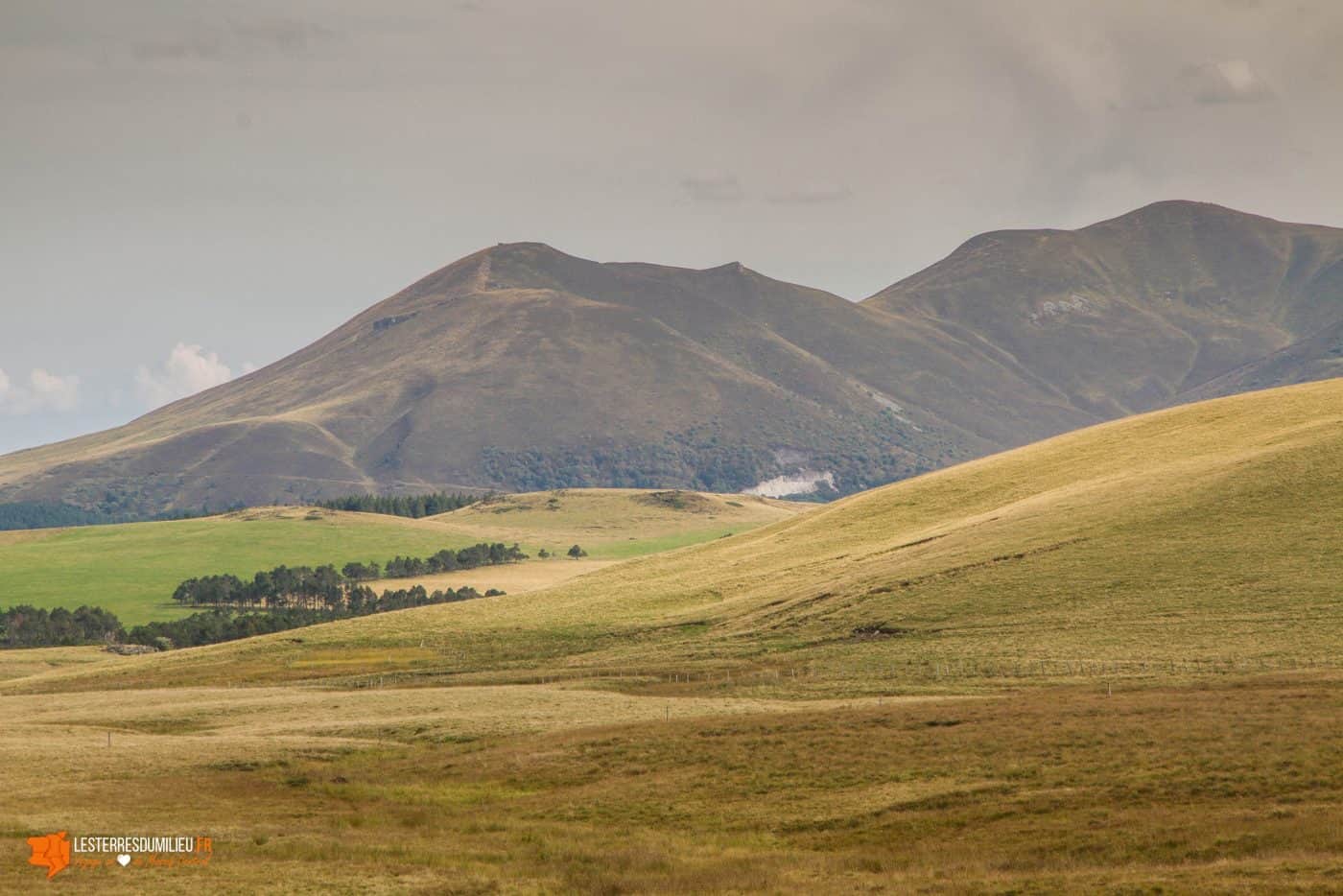 Le massif adventif vu depuis le plateau du Guéry