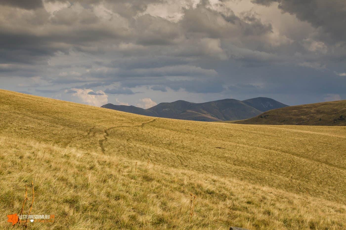 Sur le plateau du Guéry dans le Sancy