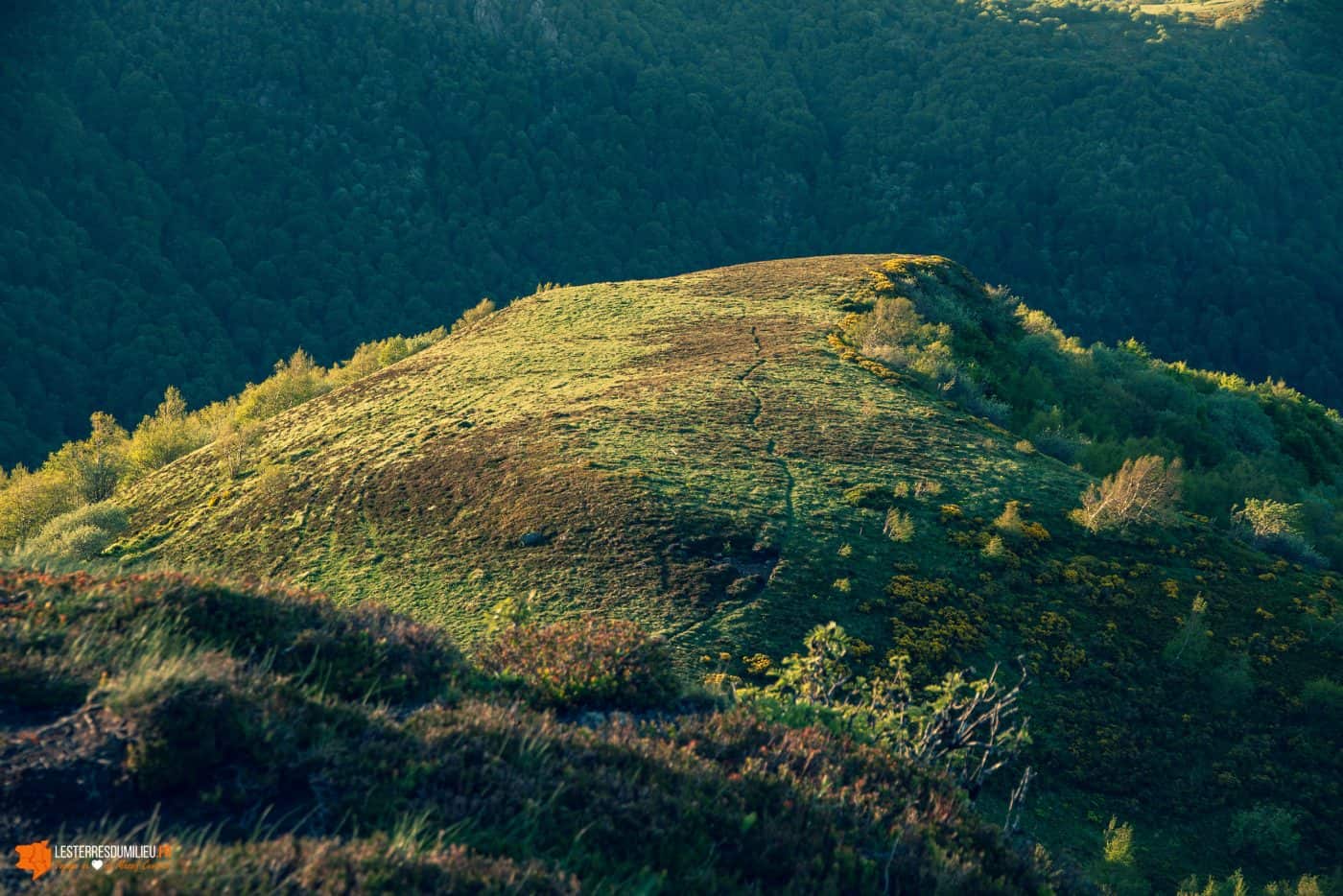 Sommet du Puy de Champgourdeix au-dessus de Chaudefour