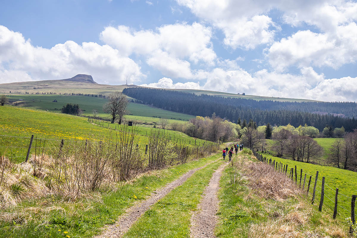 Près de Murat-le-Quaire, vue sur la Banne d'Ordanche dans le Sancy