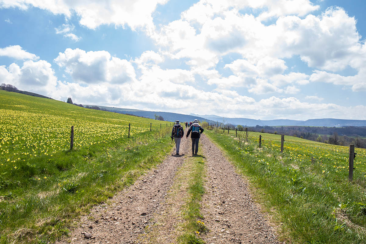 Randonneurs près de Murat-le-Quaire dans le Sancy
