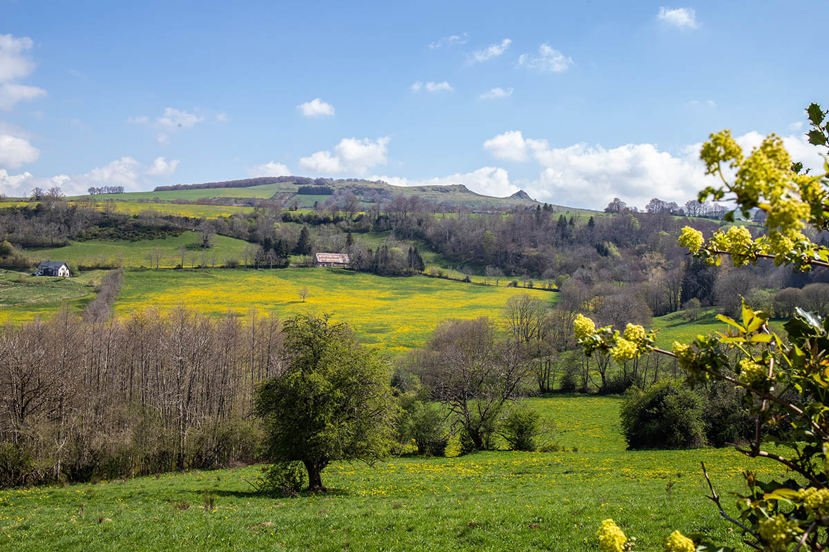 Le versant nord de la Banne d'Ordanche